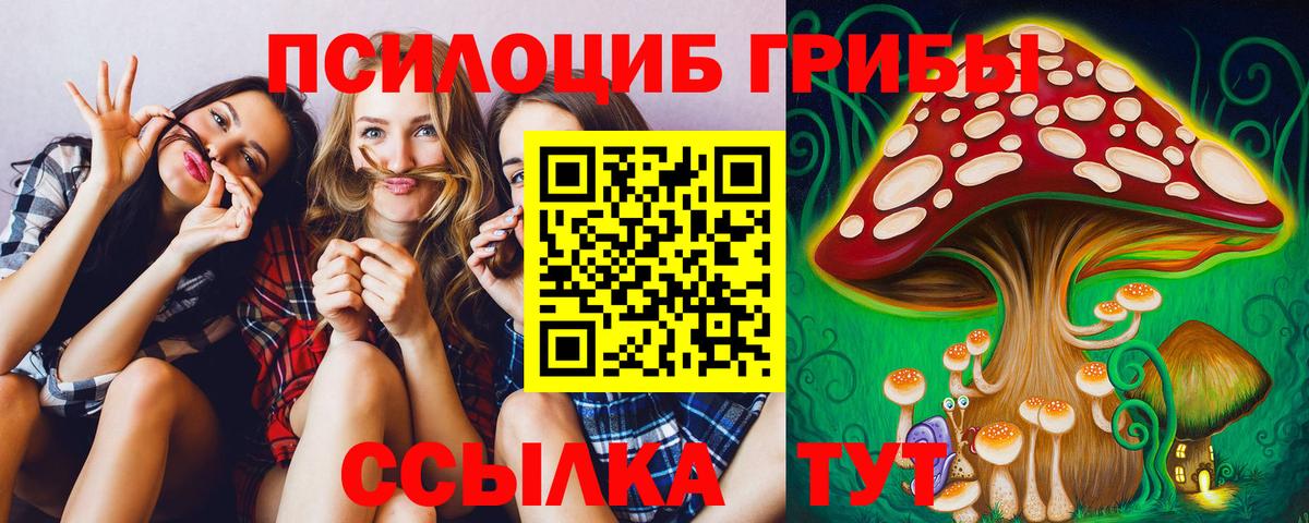 Галлюциногенные грибы мухоморы Павловский Посад