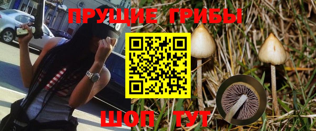 Павловский Посад  Псилоцибиновые грибы MAGIC MUSHROOMS  Вход с VPN 